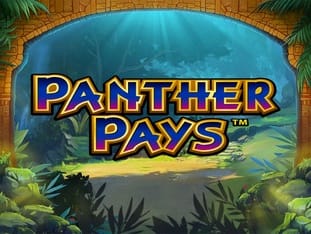Panther Pays game screenshot
